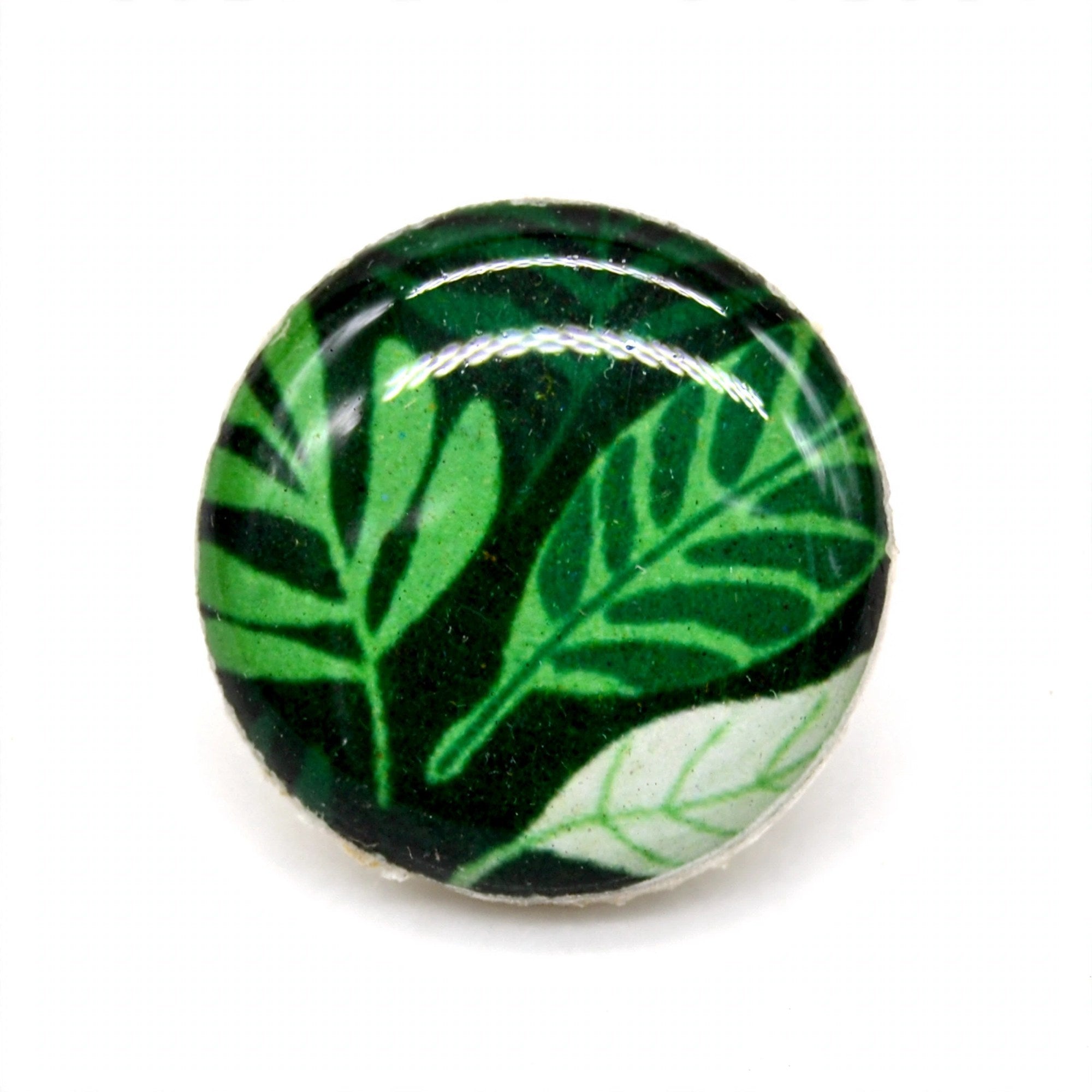 Puces d'oreilles feuillage vert
