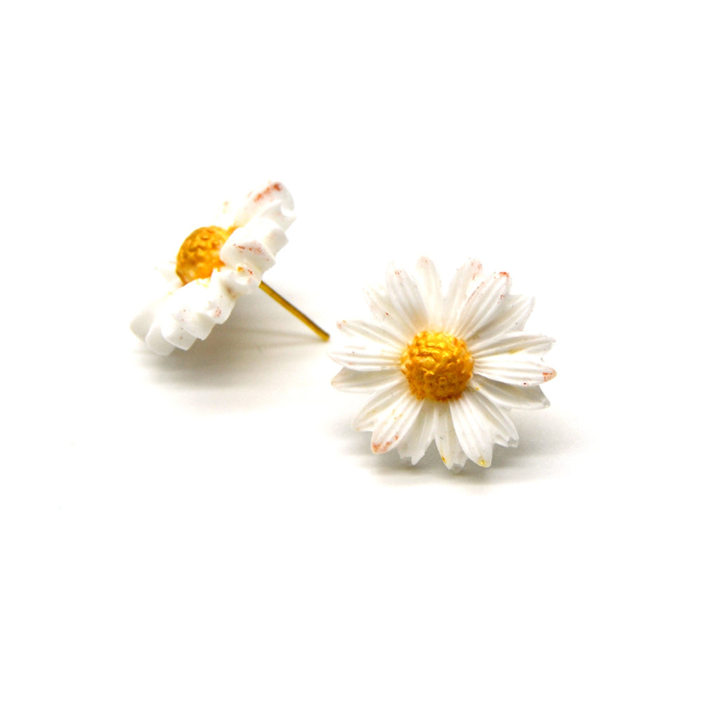 Puces d'oreilles marguerite blanche